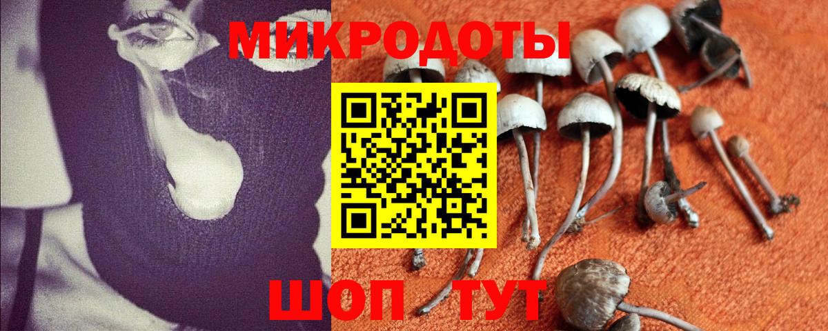 Бошки Шишки  Меф   A PVP СОЛЬ кристаллы  Пушкино  Магазин наркотиков  Гашиш  Вход с VPN 
