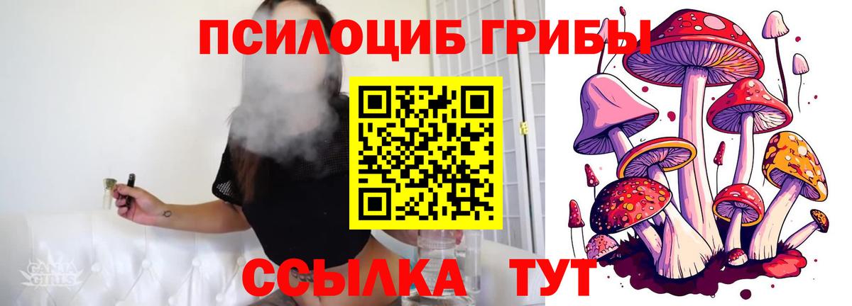 Пушкино  Галлюциногенные грибы прущие грибы  хочу   Вход с VPN 